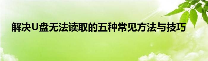 解决U盘无法读取的五种常见方法与技巧