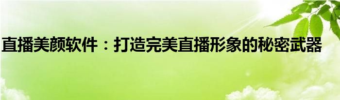 直播美颜软件：打造完美直播形象的秘密武器