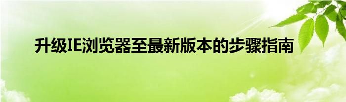 升级IE浏览器至最新版本的步骤指南