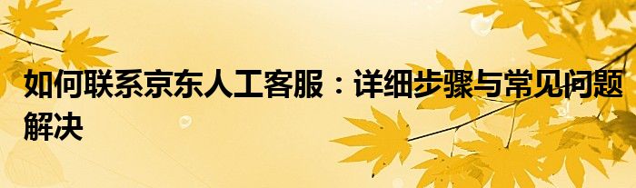 如何联系京东人工客服：详细步骤与常见问题解决