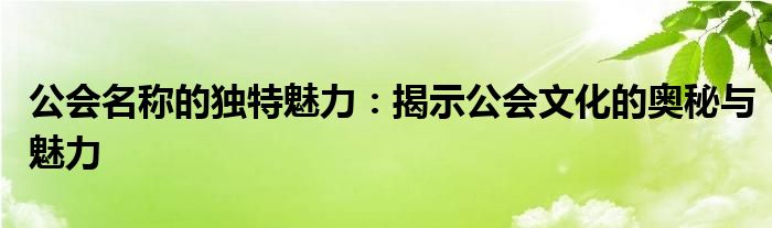 公会名称的独特魅力：揭示公会文化的奥秘与魅力