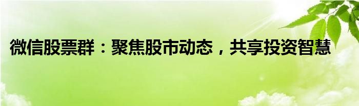 微信股票群：聚焦股市动态，共享投资智慧