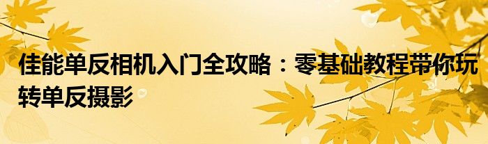 佳能单反相机入门全攻略：零基础教程带你玩转单反摄影