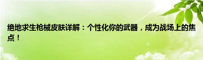 绝地求生枪械皮肤详解：个性化你的武器，成为战场上的焦点！