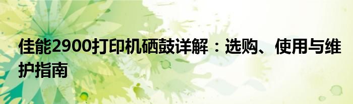 佳能2900打印机硒鼓详解：选购、使用与维护指南