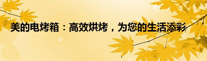 美的电烤箱：高效烘烤，为您的生活添彩