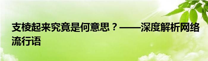 支棱起来究竟是何意思？——深度解析网络流行语