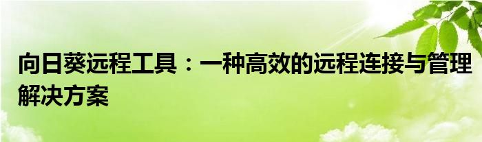 向日葵远程工具：一种高效的远程连接与管理解决方案