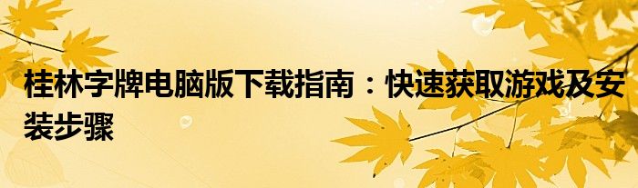 桂林字牌电脑版下载指南：快速获取游戏及安装步骤