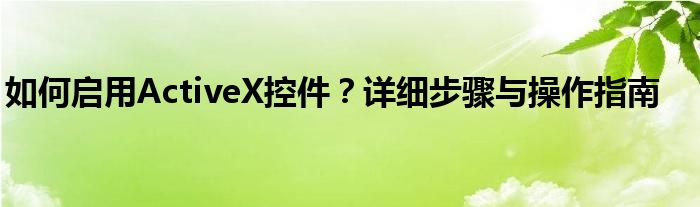 如何启用ActiveX控件？详细步骤与操作指南