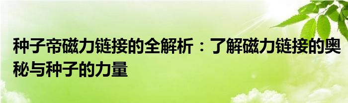 种子帝磁力链接的全解析：了解磁力链接的奥秘与种子的力量