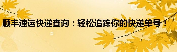 顺丰速运快递查询：轻松追踪你的快递单号！