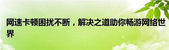 网速卡顿困扰不断，解决之道助你畅游网络世界