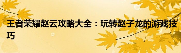 王者荣耀赵云攻略大全：玩转赵子龙的游戏技巧