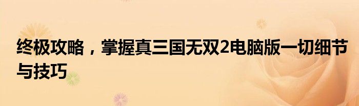 终极攻略，掌握真三国无双2电脑版一切细节与技巧