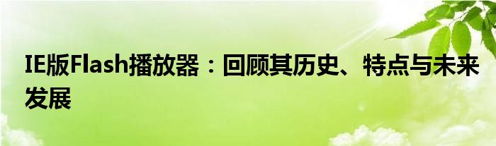 IE版Flash播放器：回顾其历史、特点与未来发展