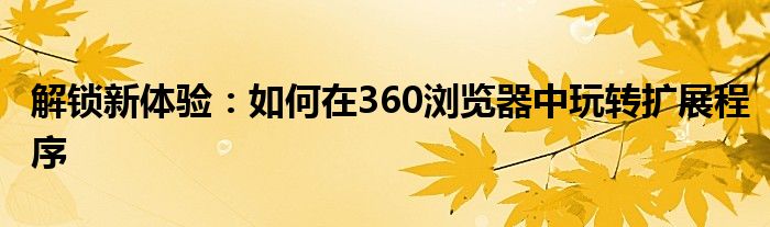 解锁新体验：如何在360浏览器中玩转扩展程序