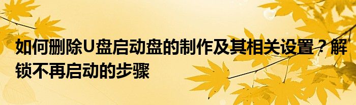 如何删除U盘启动盘的制作及其相关设置？解锁不再启动的步骤