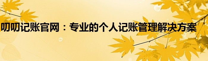 叨叨记账官网：专业的个人记账管理解决方案