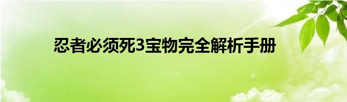 忍者必须死3宝物完全解析手册