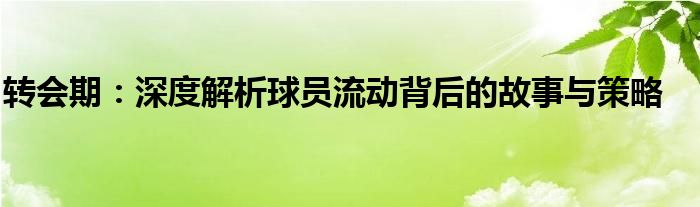 转会期：深度解析球员流动背后的故事与策略