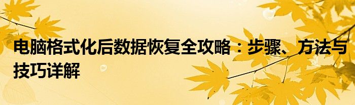 电脑格式化后数据恢复全攻略：步骤、方法与技巧详解