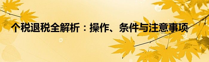 个税退税全解析：操作、条件与注意事项