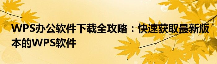 WPS办公软件下载全攻略：快速获取最新版本的WPS软件