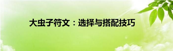 大虫子符文：选择与搭配技巧