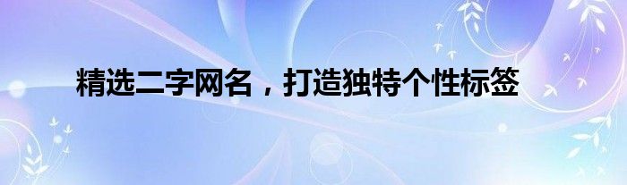 精选二字网名，打造独特个性标签