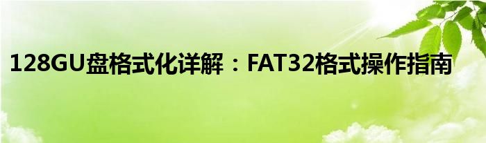 128GU盘格式化详解：FAT32格式操作指南