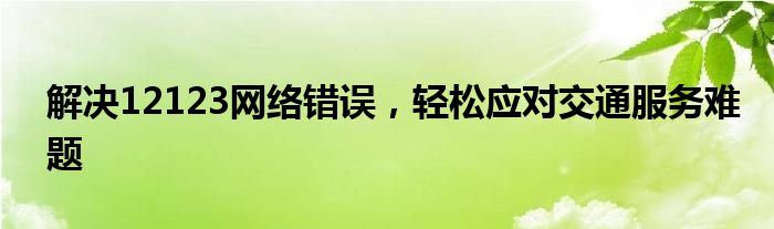 解决12123网络错误，轻松应对交通服务难题