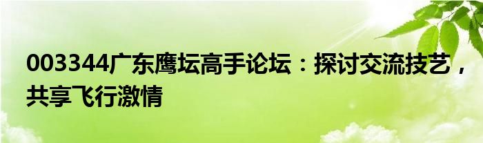 003344广东鹰坛高手论坛：探讨交流技艺，共享飞行激情