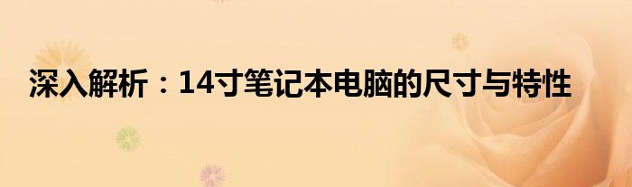 深入解析：14寸笔记本电脑的尺寸与特性