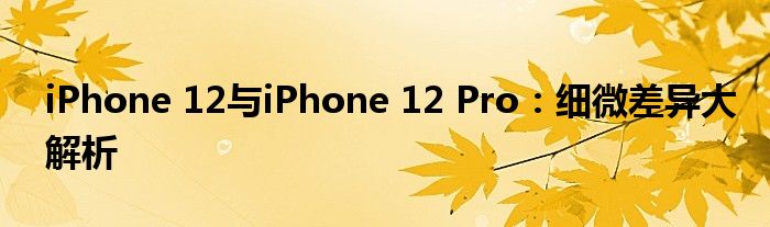 iPhone 12与iPhone 12 Pro：细微差异大解析