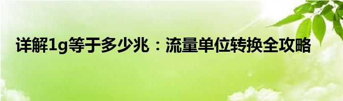 详解1g等于多少兆：流量单位转换全攻略