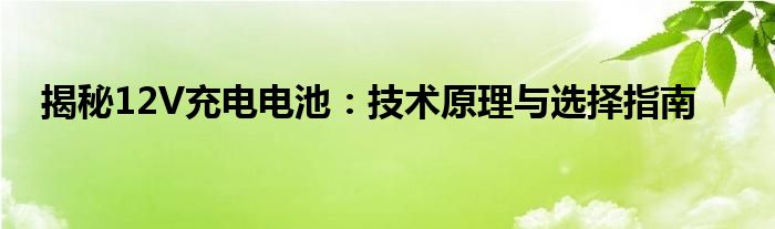 揭秘12V充电电池：技术原理与选择指南