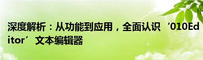 深度解析：从功能到应用，全面认识‘010Editor’文本编辑器