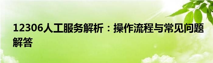 12306人工服务解析：操作流程与常见问题解答