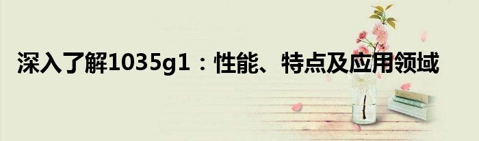 深入了解1035g1：性能、特点及应用领域