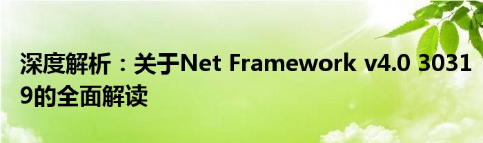 深度解析：关于Net Framework v4.0 30319的全面解读