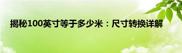 揭秘100英寸等于多少米：尺寸转换详解