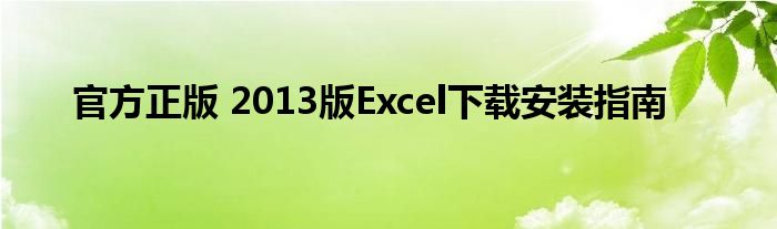 官方正版 2013版Excel下载安装指南