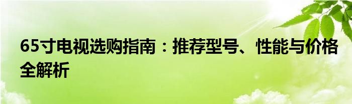 65寸电视选购指南：推荐型号、性能与价格全解析