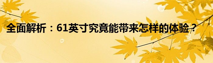 全面解析：61英寸究竟能带来怎样的体验？