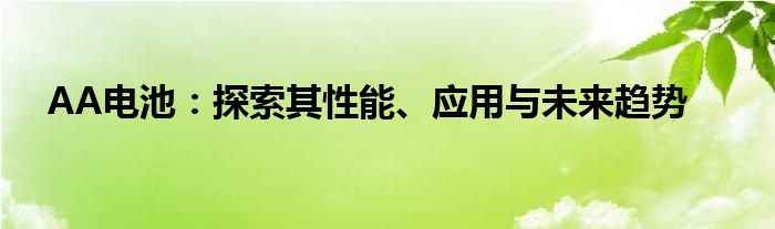 AA电池：探索其性能、应用与未来趋势