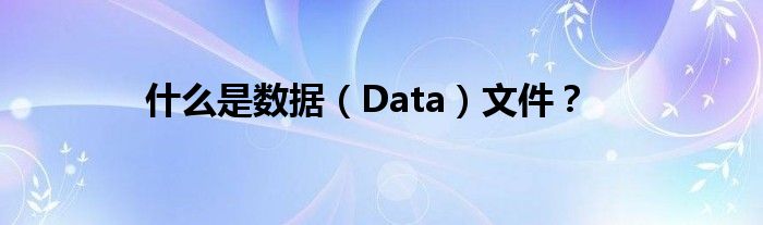 什么是数据（Data）文件？