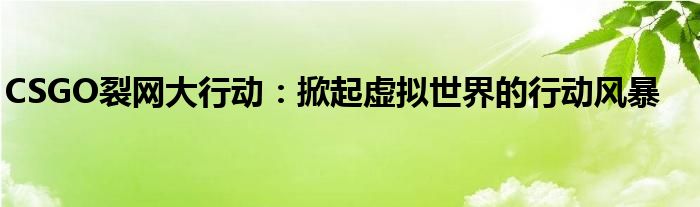 CSGO裂网大行动：掀起虚拟世界的行动风暴