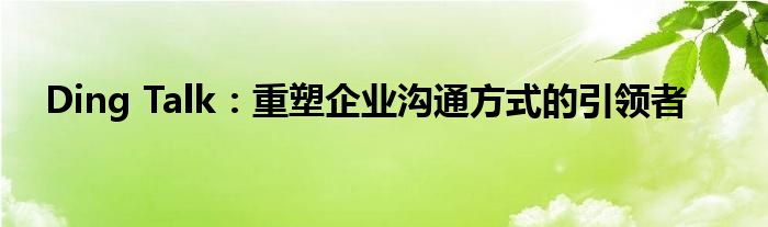 Ding Talk：重塑企业沟通方式的引领者