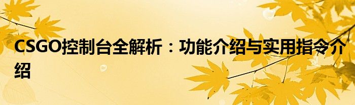 CSGO控制台全解析：功能介绍与实用指令介绍